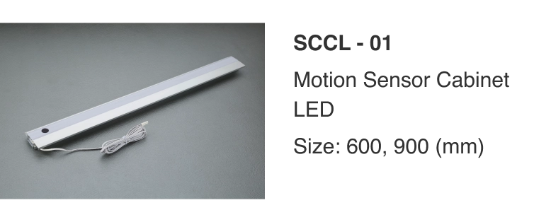 SCCL - 01-img