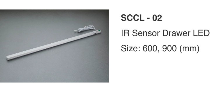 SCCL - 02-img