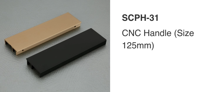 SCPH-31-img