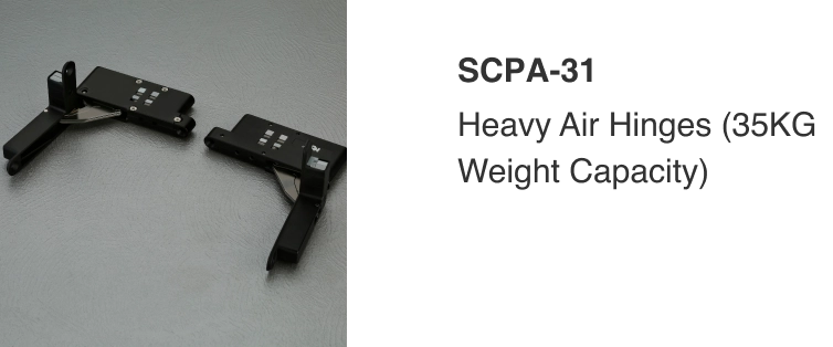 scpa-31-img